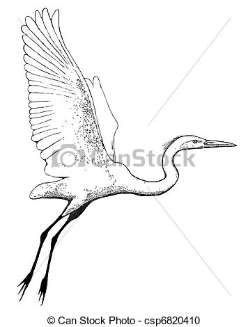 Stock Illustration of Great Egret flying.
