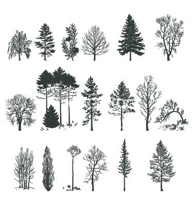 25+ best ideas about Tree Silhouette on Pinterest.
