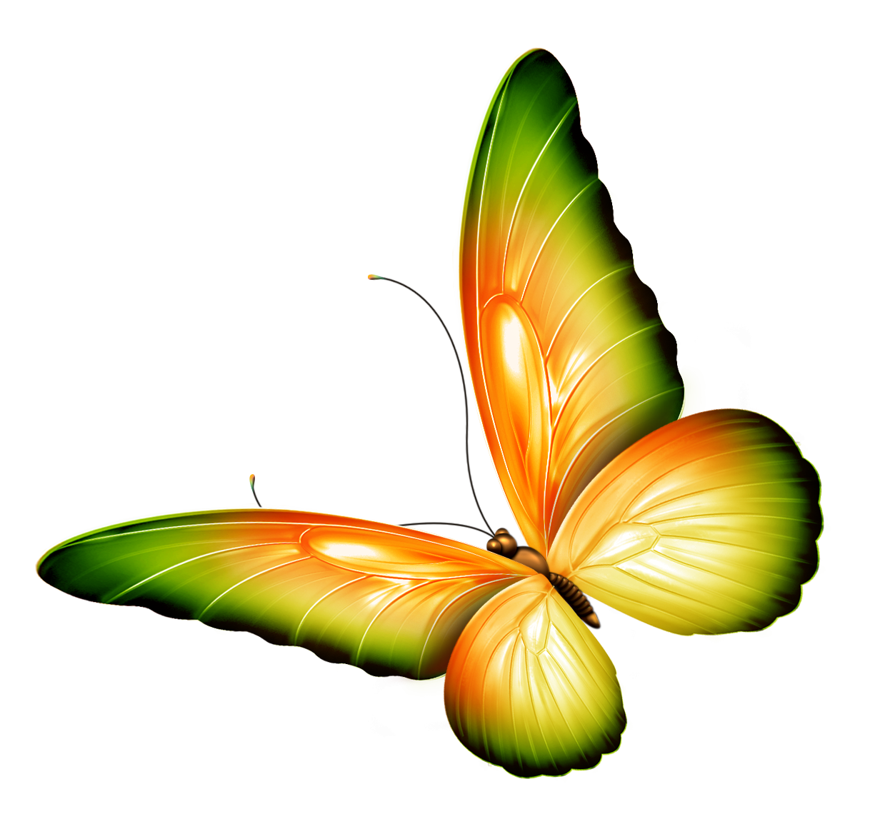 free colorful butterfly clipart