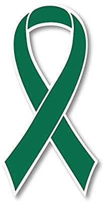 Green Liver Cancer Awareness Ribbon Car Magnet Decal Heavy.