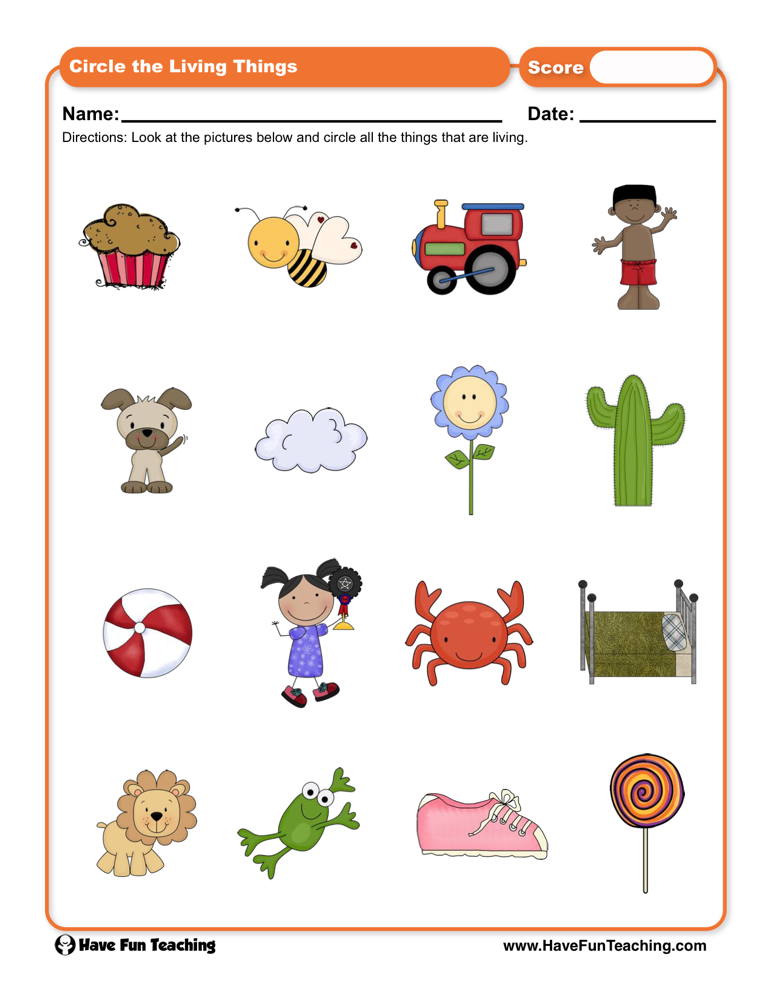 living-and-nonliving-things-clipart-10-free-cliparts-download-images