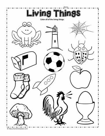 Living things clipart black and white 4 » Clipart Station.