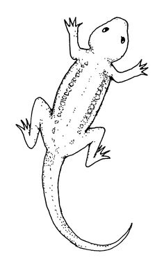 Lizard clipart black and white 3 » Clipart Station.