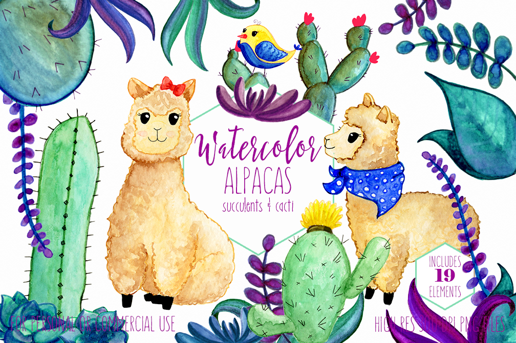 WATERCOLOR LLAMAS & CACTUS Clipart Llama Clip Art Cute Alpacas Succulents  Cacti Plants Hand Drawn Clipart Kawaii Llama Graphics.