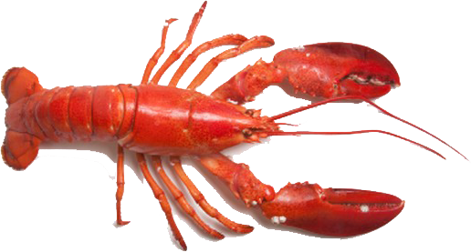 Lobster PNG images.