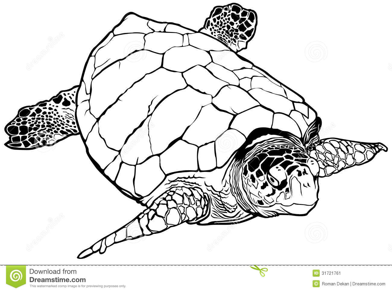 Showing post & media for Loggerhead turtle cartoon.