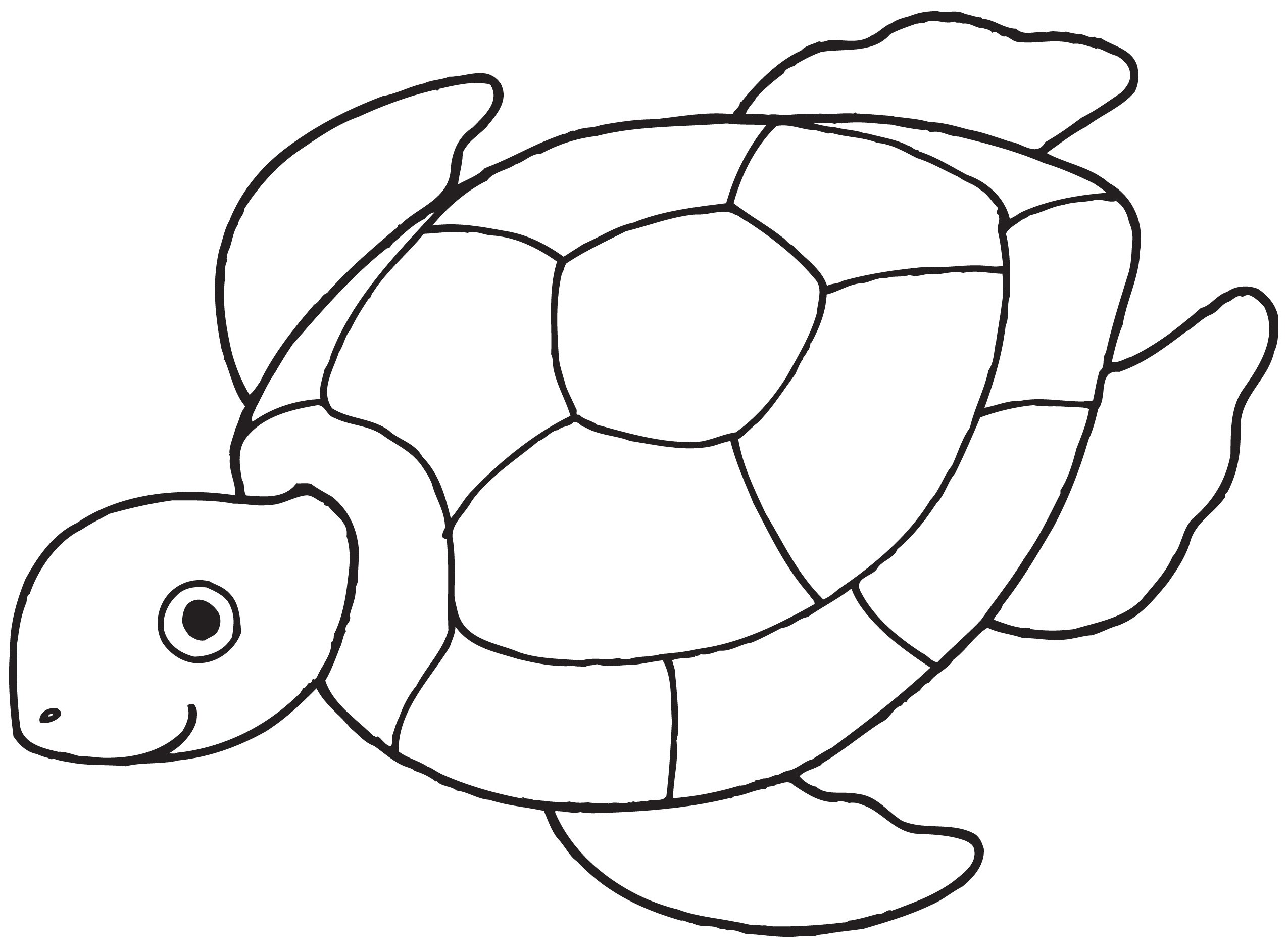 Loggerhead turtle clipart black and white.