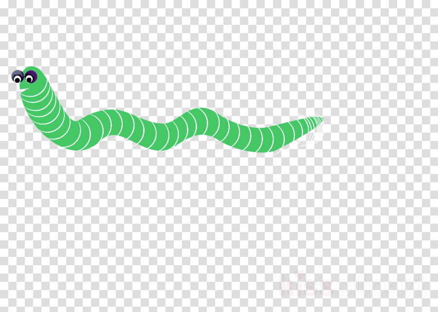 green turquoise line caterpillar logo clipart.