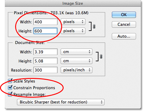 adobe photoshop logo size