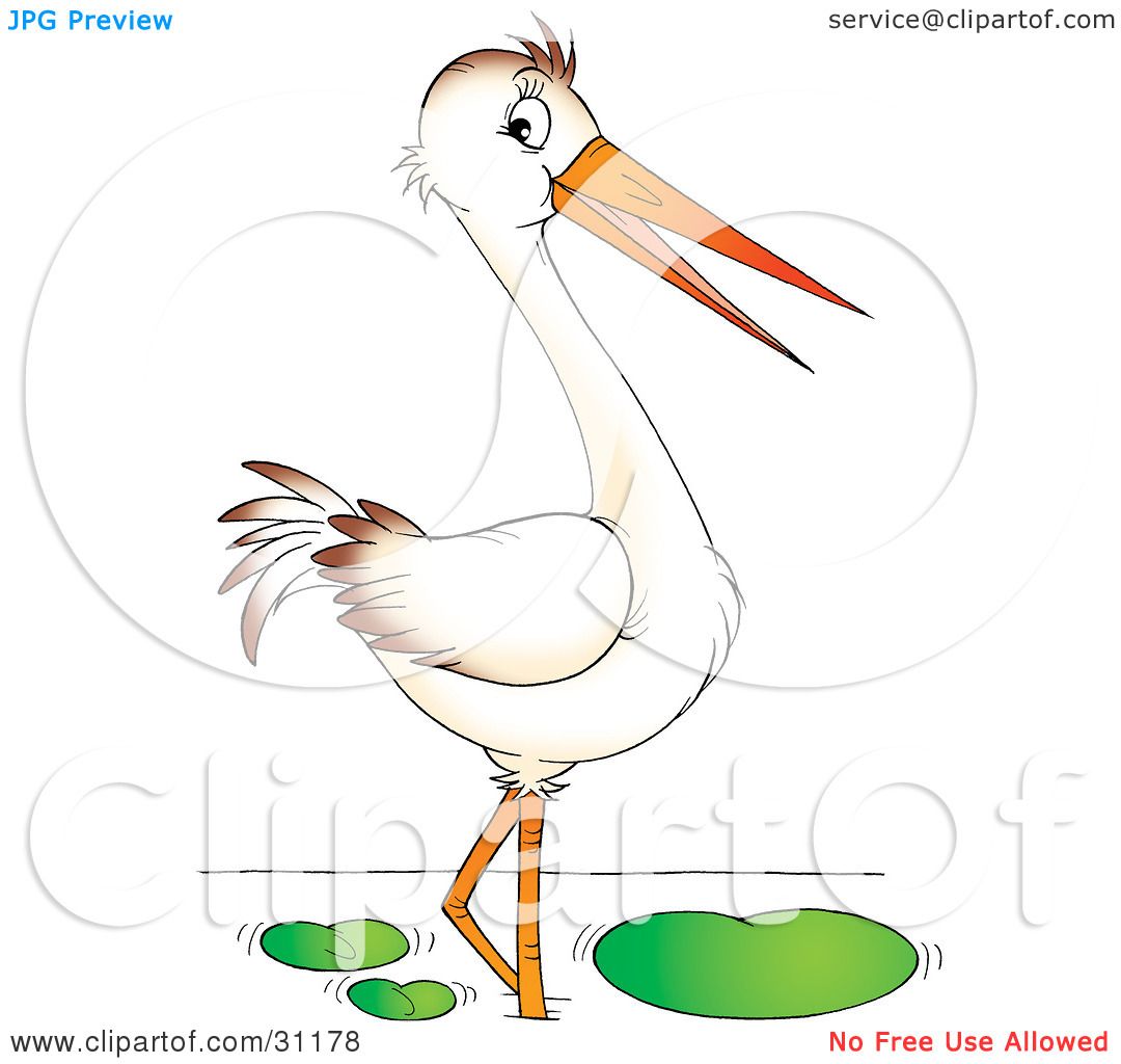 Clipart Illustration of a Wading White Bird With A Long Beak by.