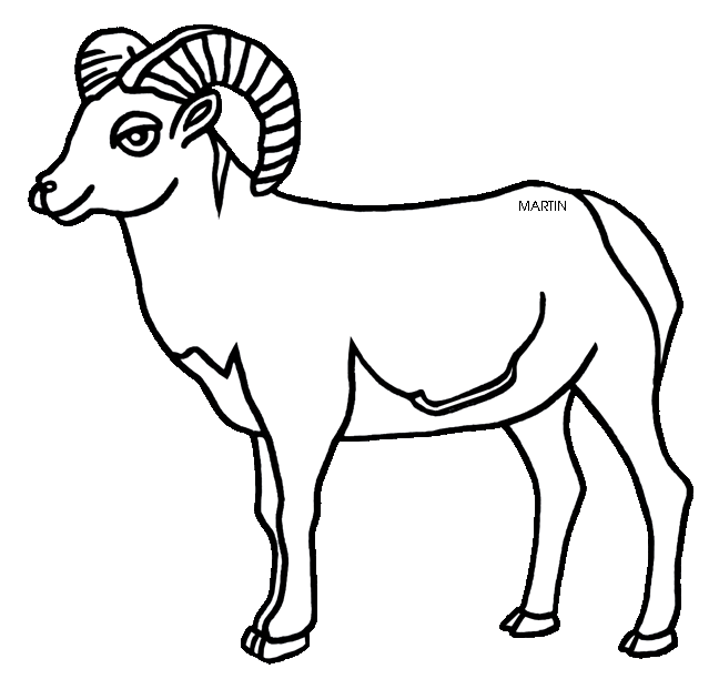 Big Horned Sheep Black And White Clipart.