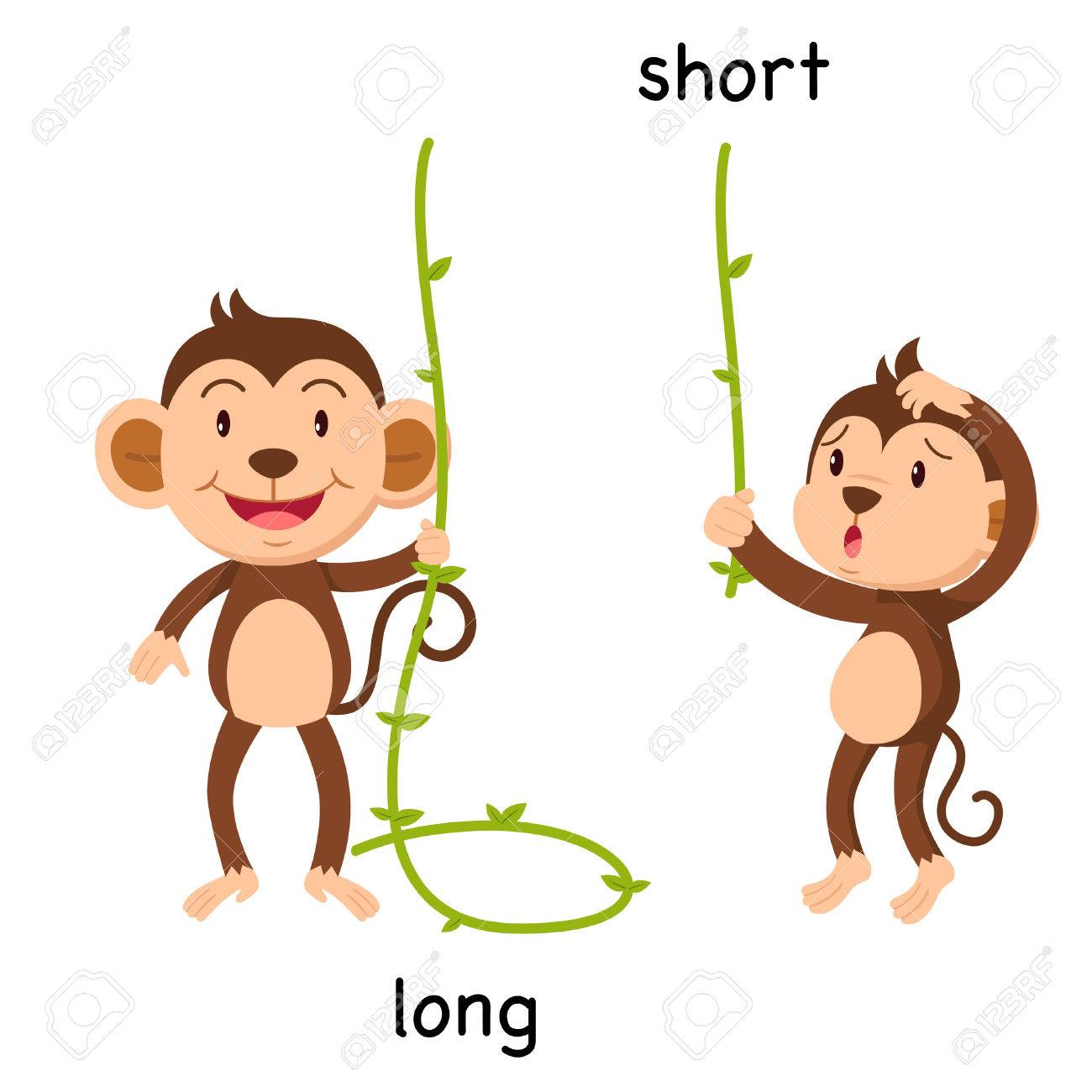 This Is The Short And Long Of It long short clipart 10 free Cliparts | Download images on Clipground 2024