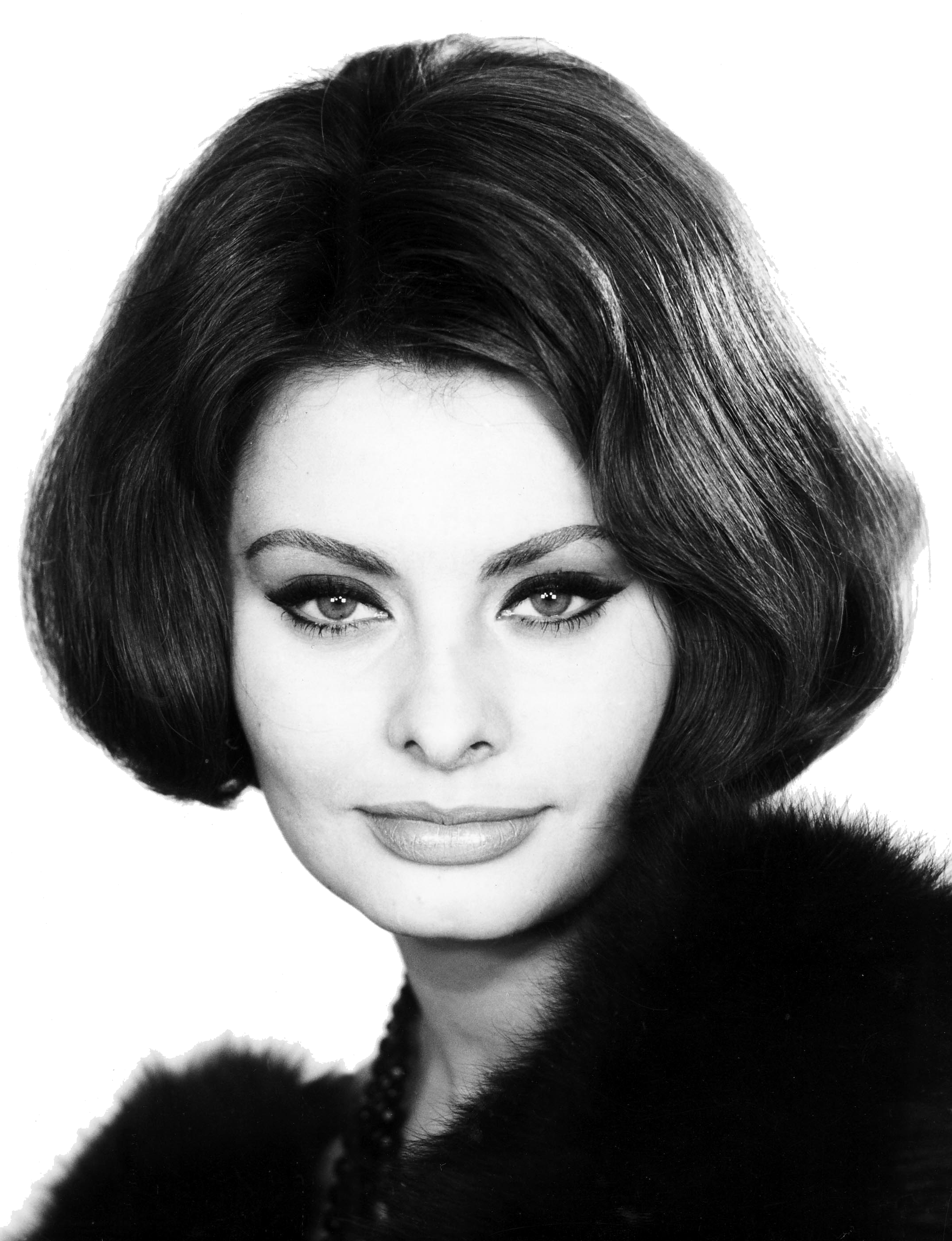 Sophia Loren Side View transparent PNG.