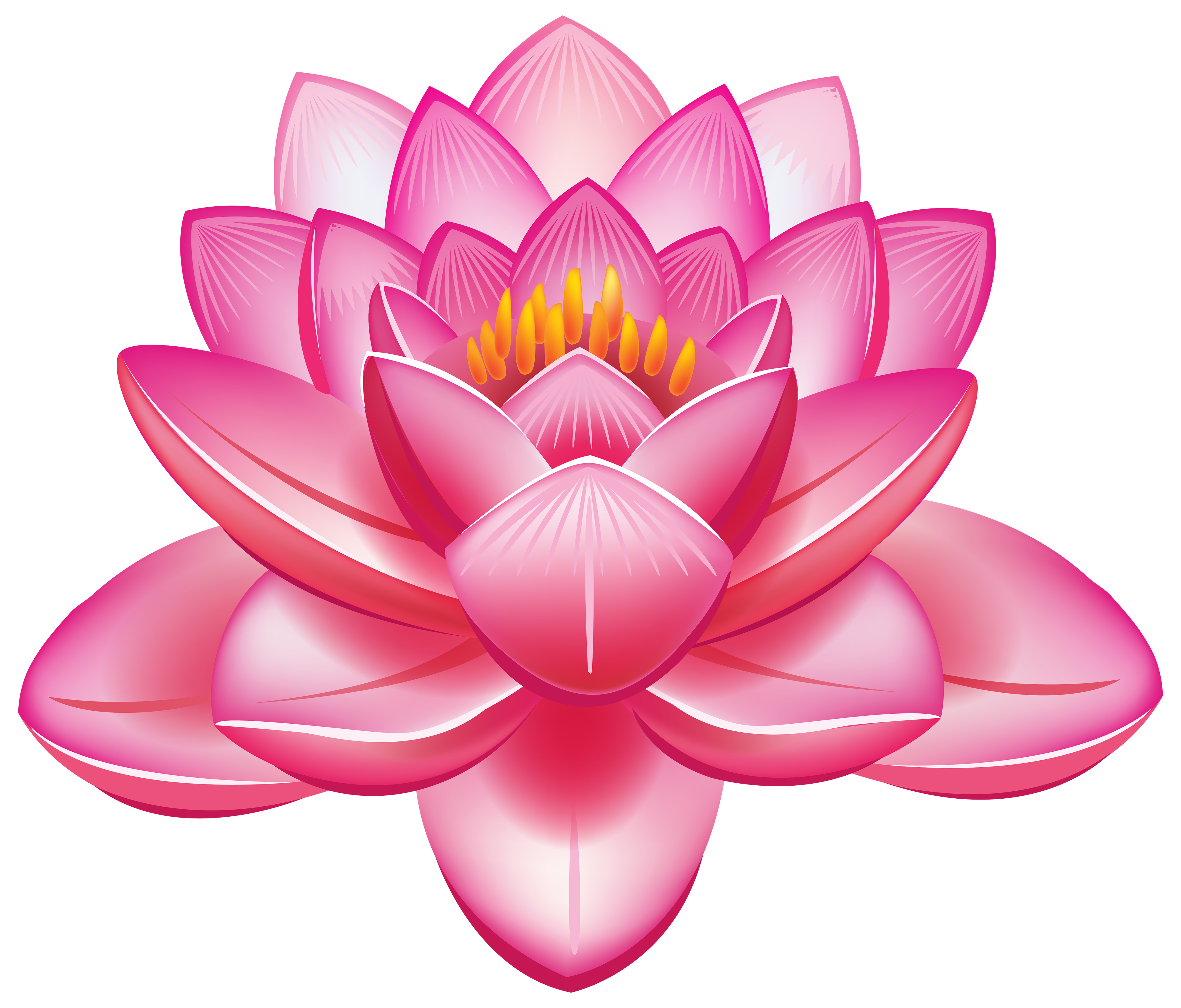 water lily flowers clipart 20 free Cliparts Download