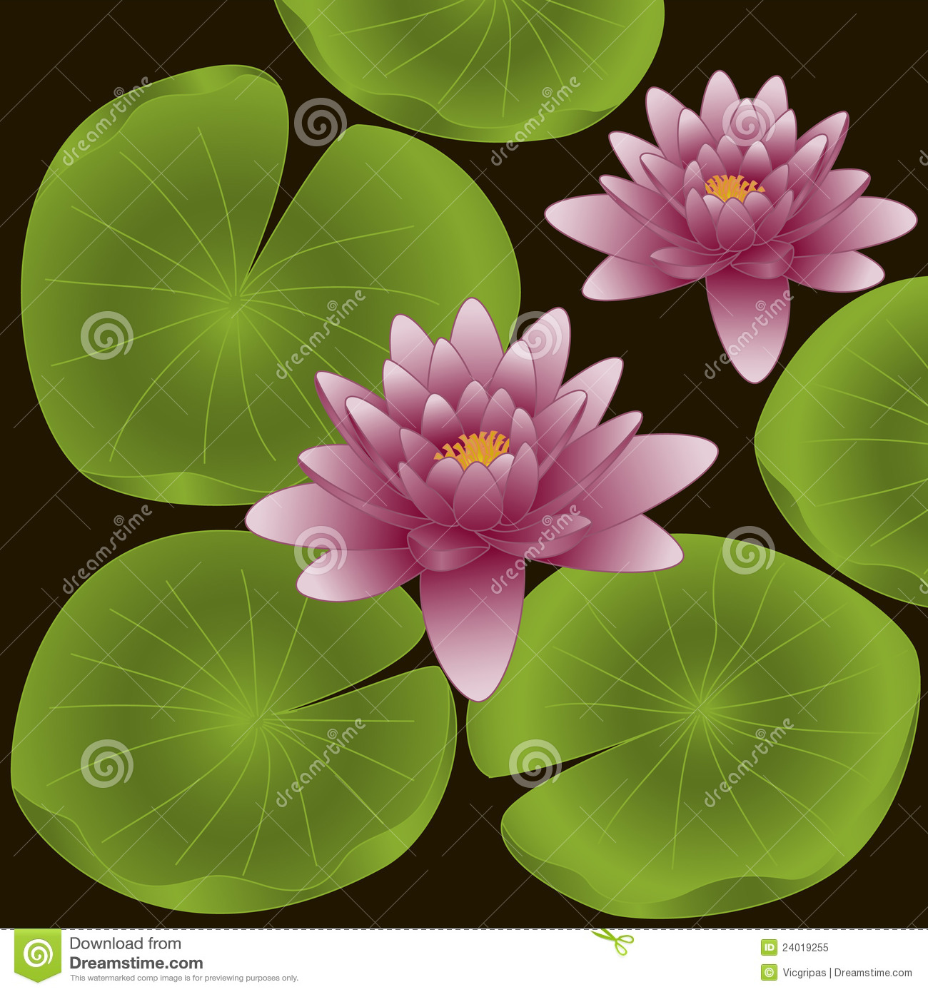 lotus flower illustration free download