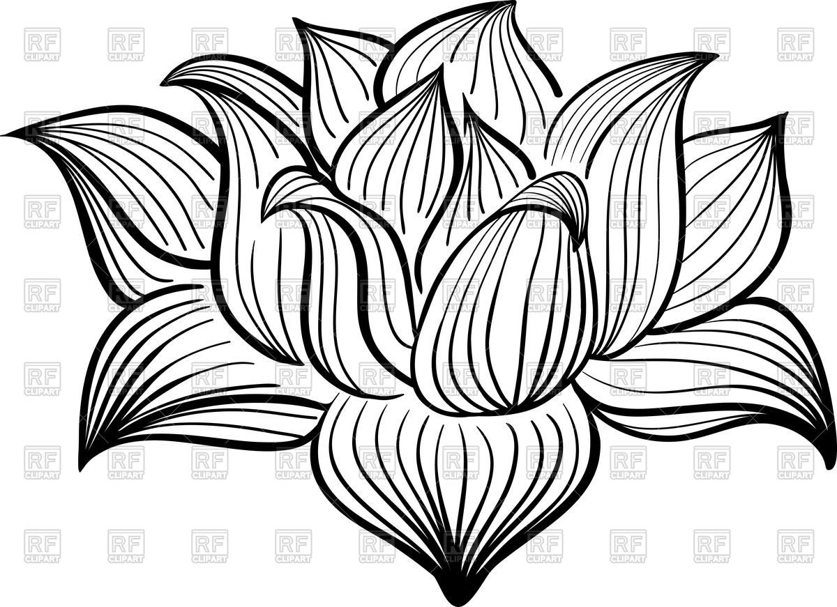 Lotus Flower Outline Clip Art Free 10 Free Cliparts Download Images