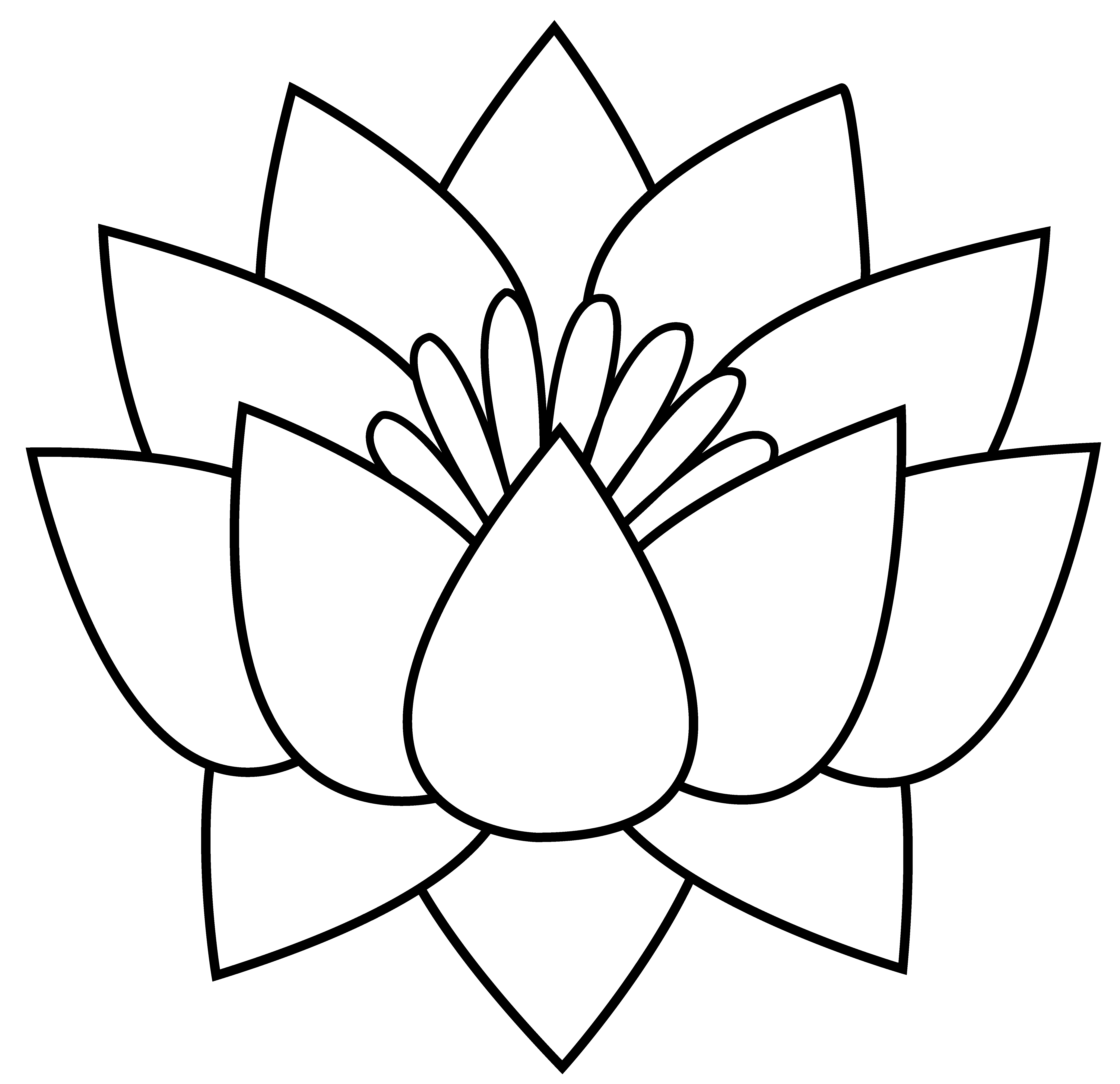 Free Lotus Flower Line Drawing, Download Free Clip Art, Free.