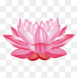 PNG Lotus Flower Transparent Lotus Flower.PNG Images..