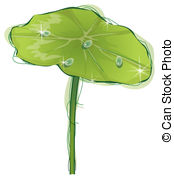 Lotus leaf Clip Art and Stock Illustrations. 4,529 Lotus leaf EPS.