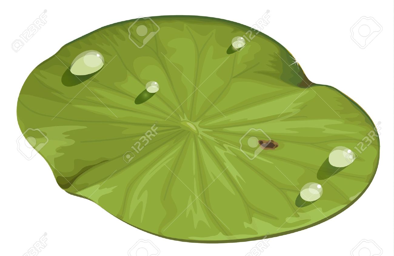 Lotus leaf clipart.