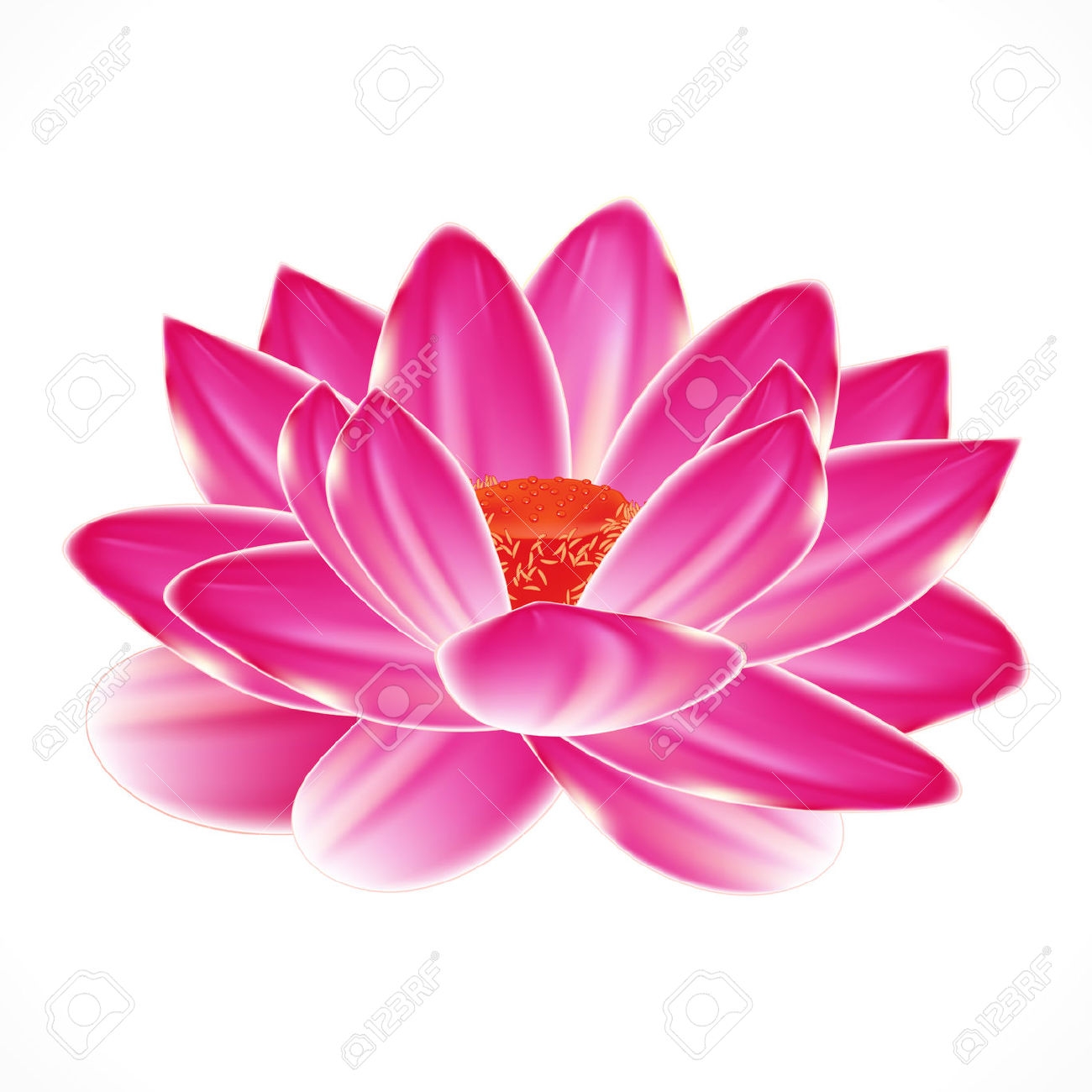 Water Lily Flower Clipart.