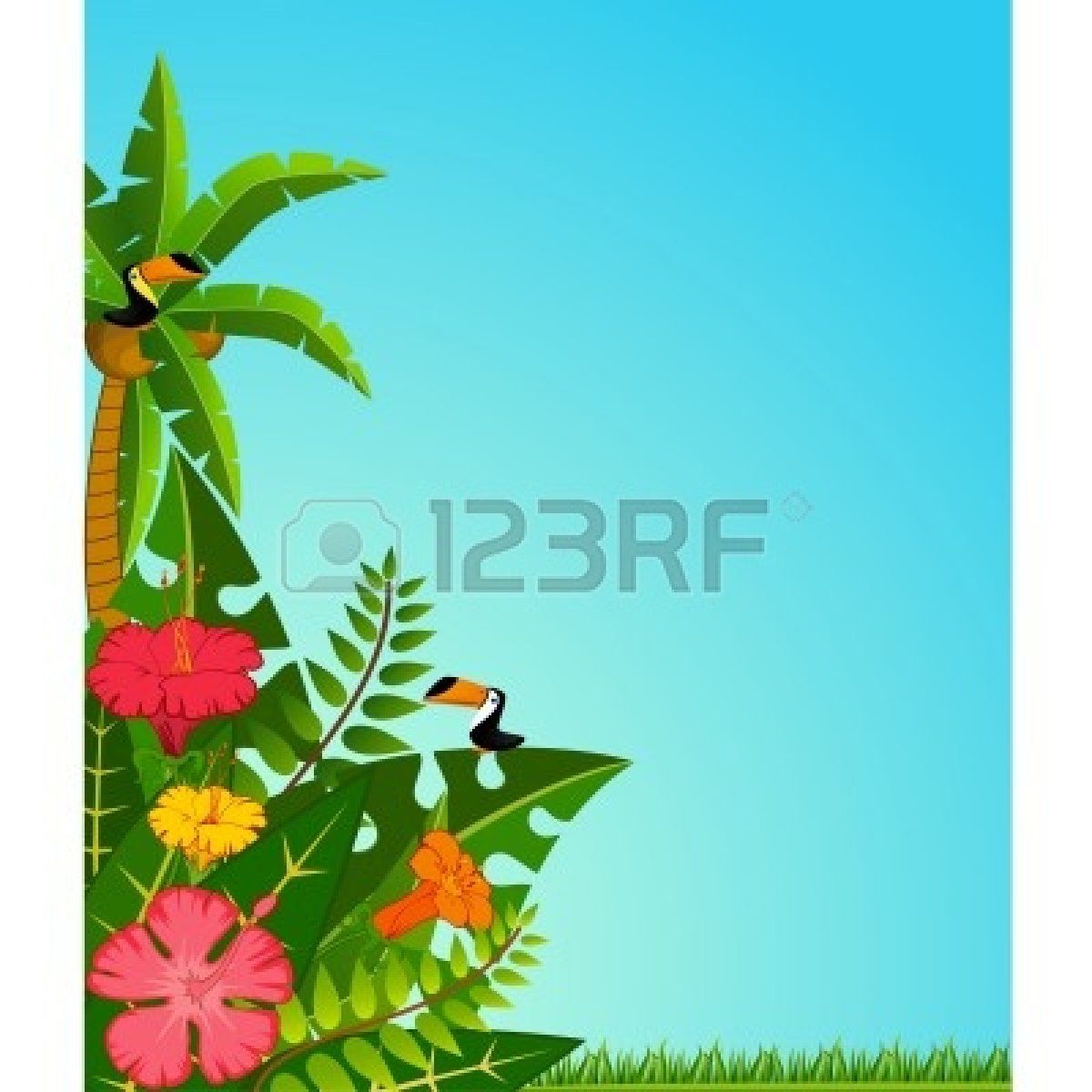 Blank Luau Invitation Borders.