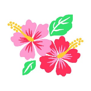 Beach luau clipart.