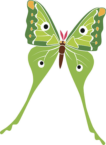 luna moth clipart 10 free Cliparts | Download images on Clipground 2021