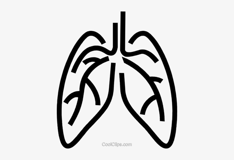 Human Lungs Royalty Free Vector Clip Art Illustration.