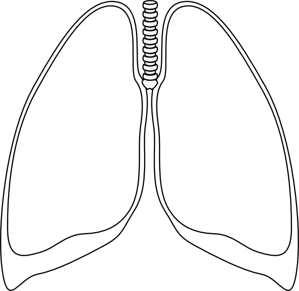 Lungs Clipart Black And White.