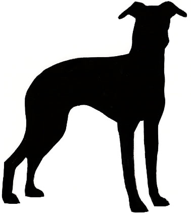 Lurcher clipart 20 free Cliparts | Download images on Clipground 2024