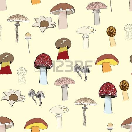 136 Puffball Mushroom Stock Illustrations, Cliparts And Royalty.