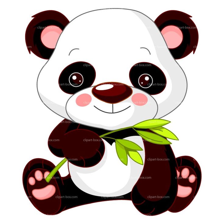 cutebaby animal clipart images