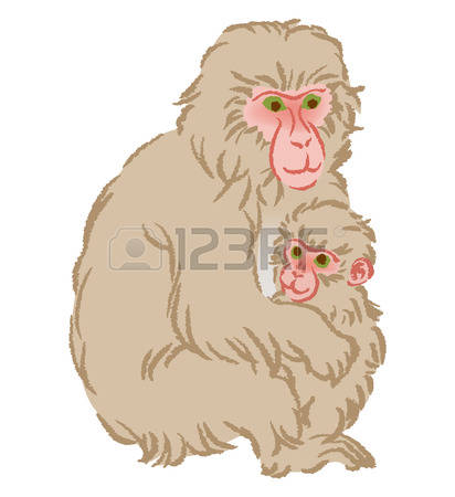 275 Japanese Macaque Stock Vector Illustration And Royalty Free.