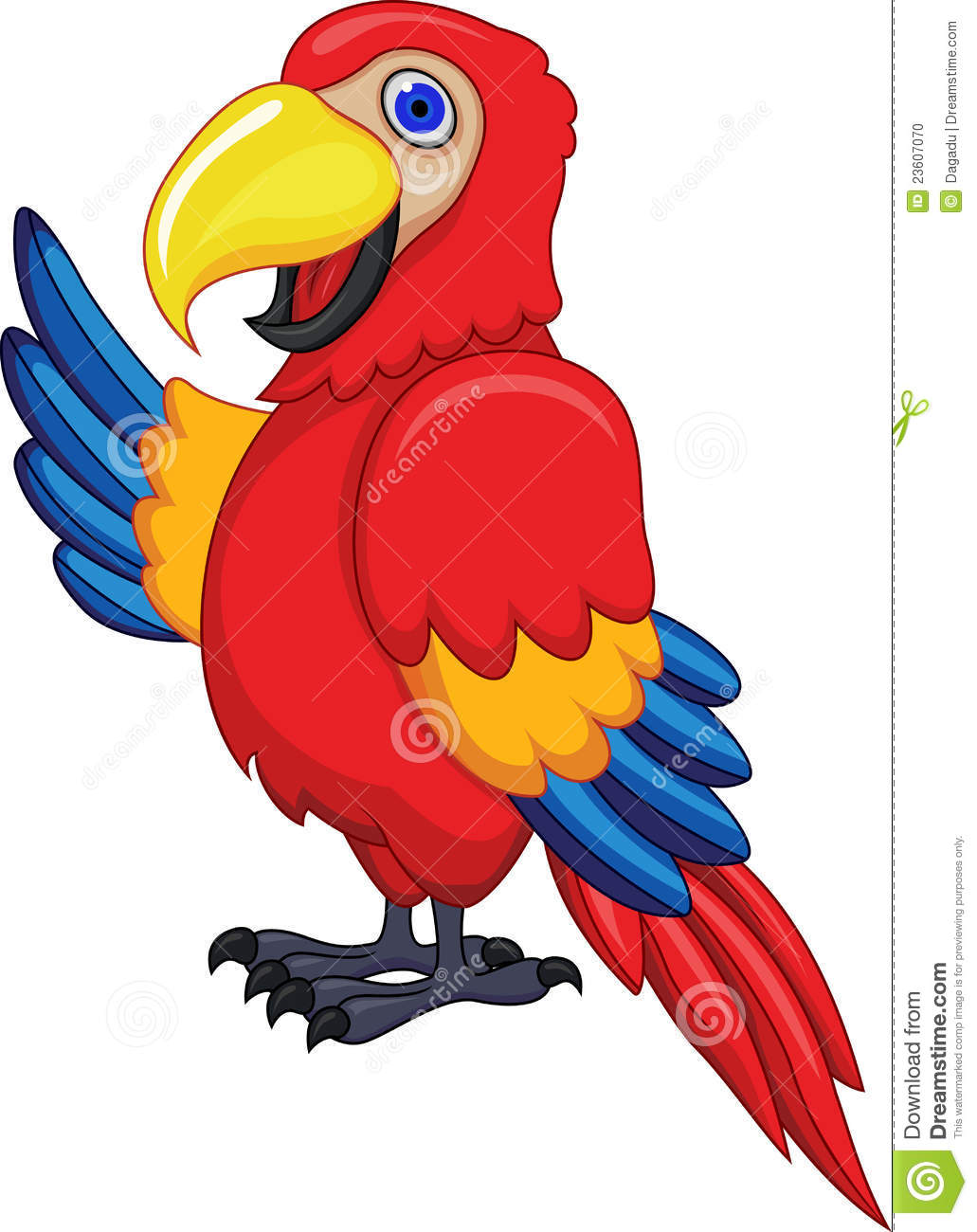 Macaw cliparts. Macaw cliparts.