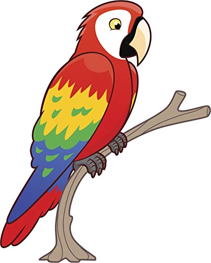 macaw parrot clipart 10 free Cliparts | Download images on Clipground 2023