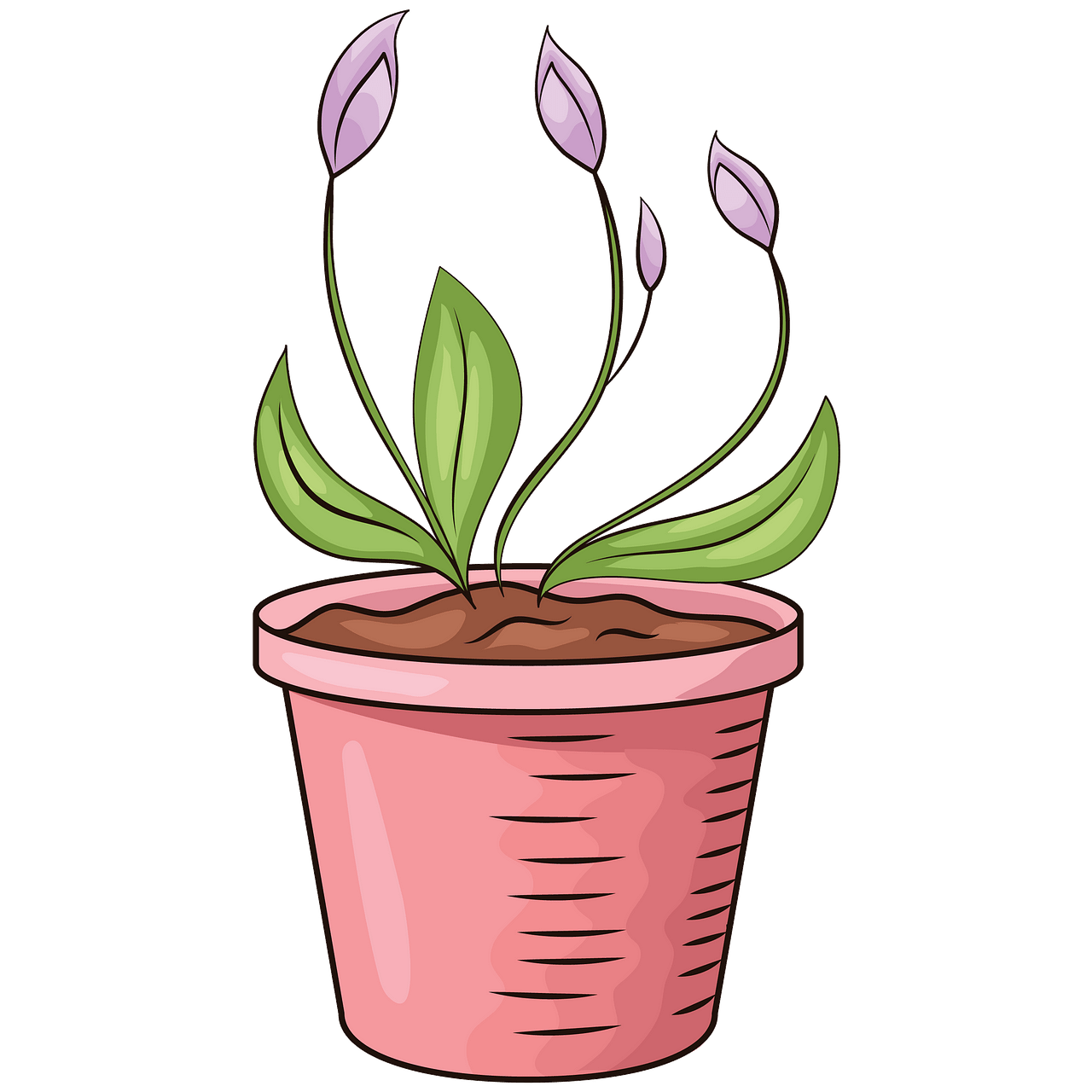 Flor en maceta clipart. Dibujos animados descargar gratis.