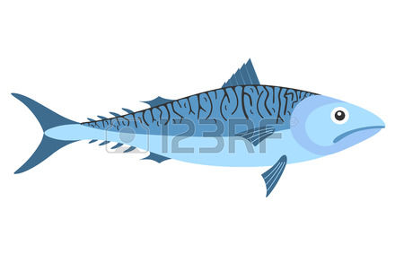 547 Mackerel Cliparts, Stock Vector And Royalty Free Mackerel.