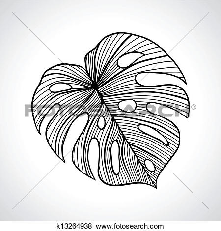 Clip Art of Black macro palm leaf isolated. k13264938.