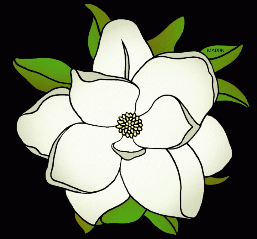 Magnolia flower clip art.