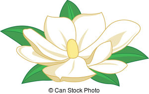 Magnolia Illustrations and Clip Art. 1,466 Magnolia royalty free.