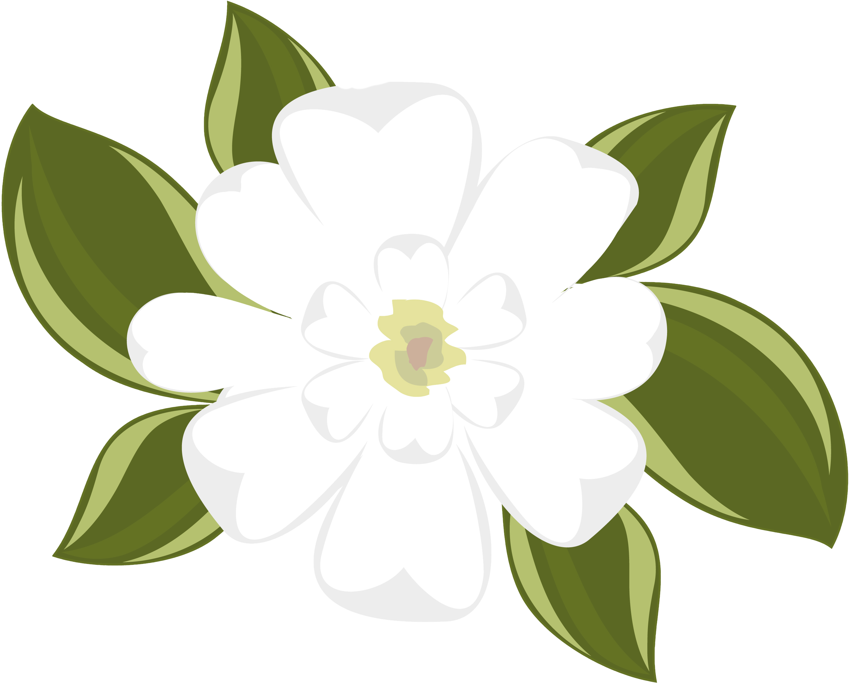 Magnolia clipart 20 free Cliparts | Download images on Clipground 2022