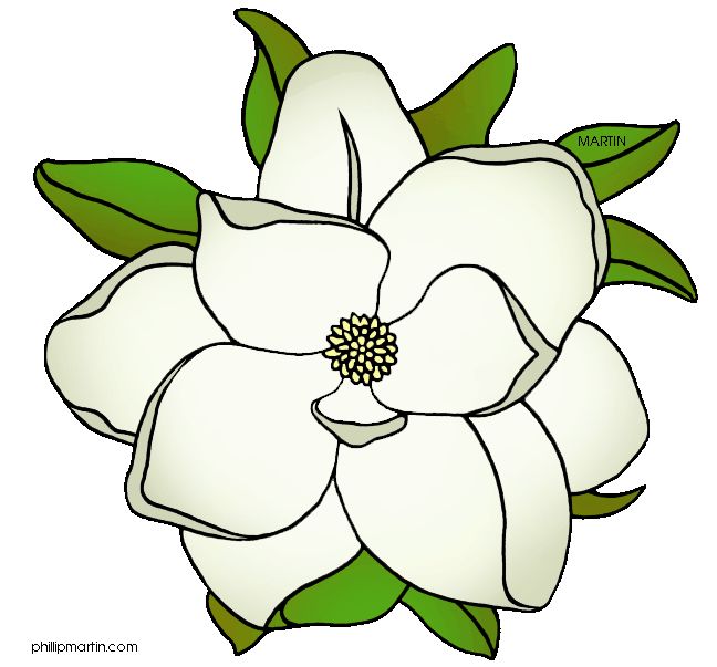 magnolia silhouette clipart 20 free Cliparts | Download images on