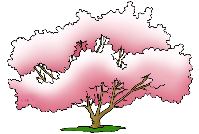 Magnolia tree clipart 20 free Cliparts | Download images on Clipground 2021