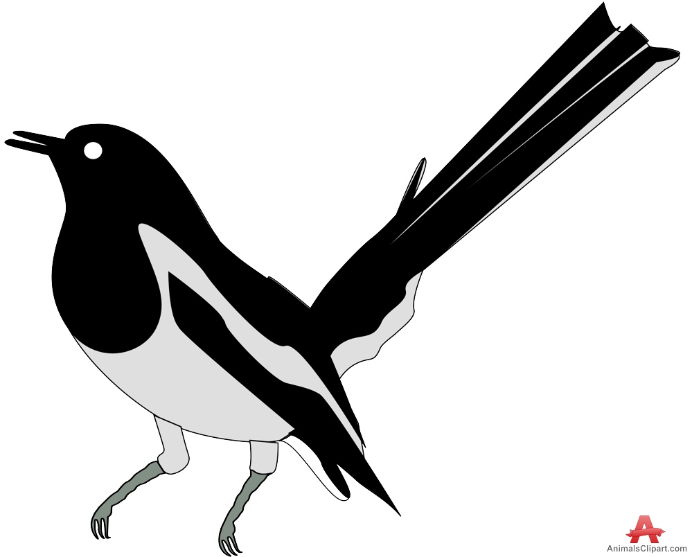 Magpie Clipart 20 Free Cliparts Download Images On Clipground 2024