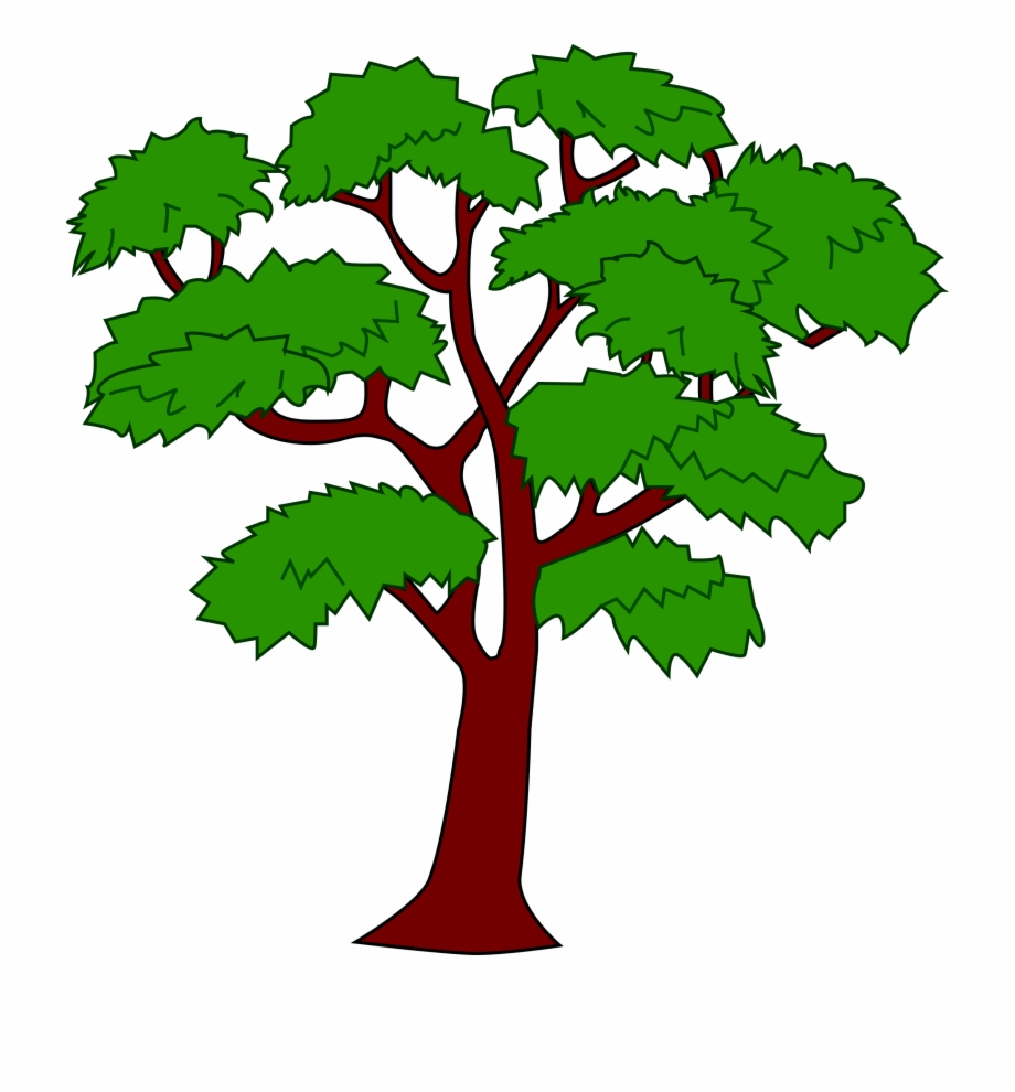 Mahogany Tree Clip Art