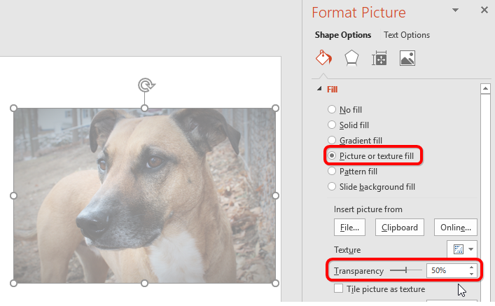 How to Make an Image Transparent in PowerPoint.