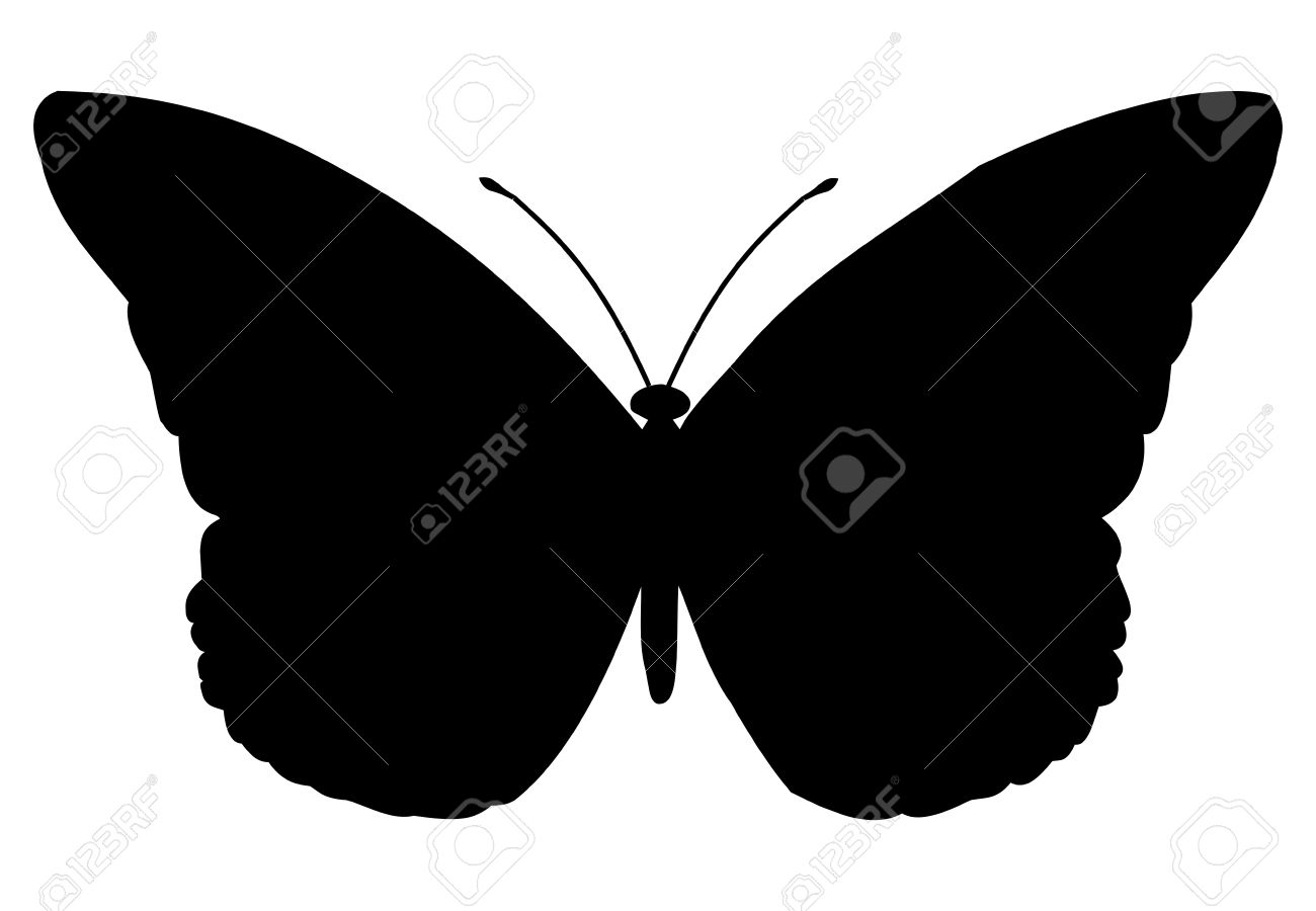 Malachite Butterfly Stock Photos Images. Royalty Free Malachite.
