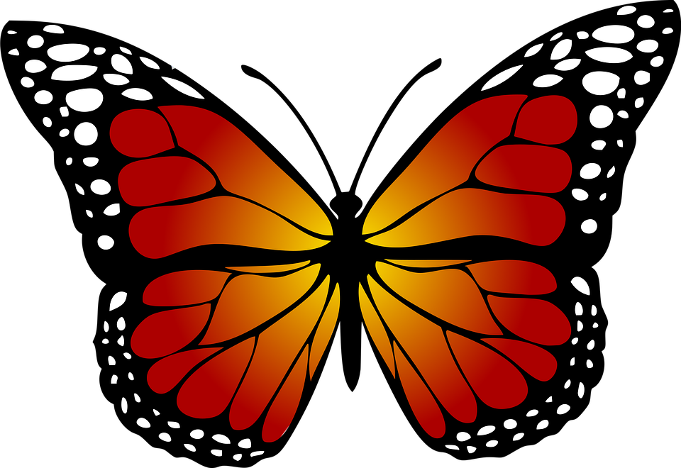 Free Monarch Butterfly Clipart 20 Free Cliparts Download Images On