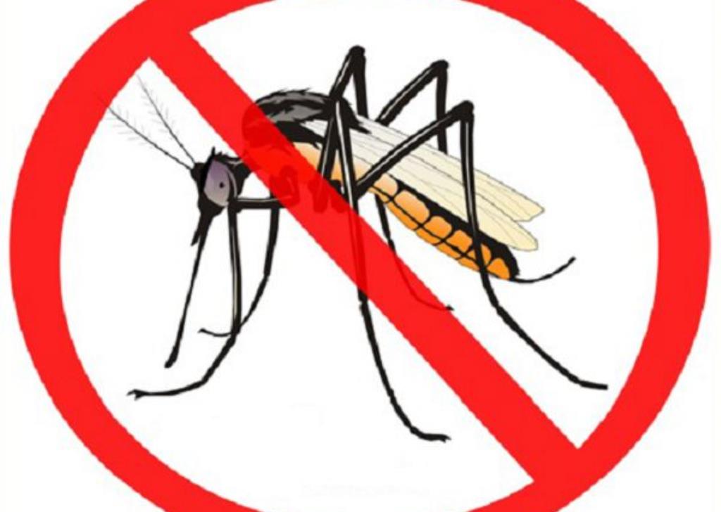 malaria in clipart papua new guinea 10 free Cliparts | Download images ...
